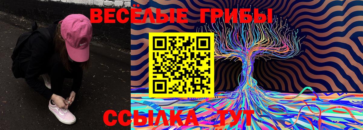 сколько стоит  Вход с VPN  Псилоцибиновые грибы GOLDEN TEACHER  Коряжма  Псилоцибиновые грибы GOLDEN TEACHER 