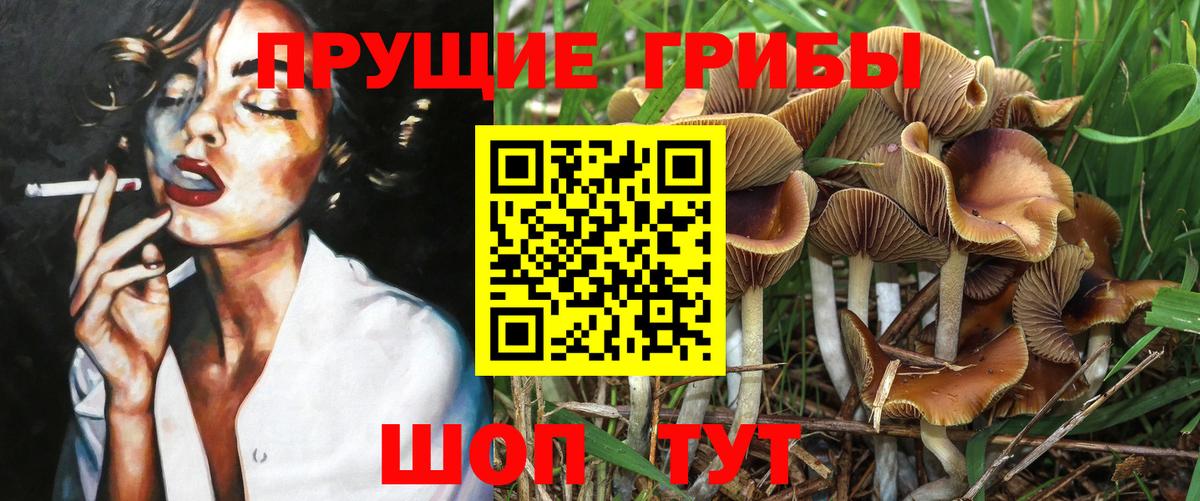 Галлюциногенные грибы Cubensis Коряжма