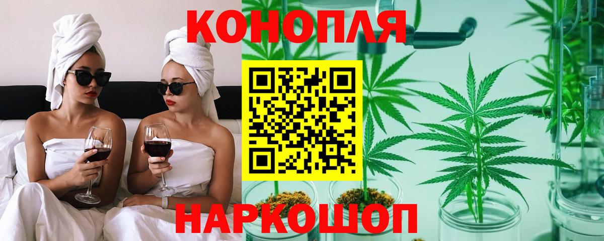 Канабис конопля Коряжма